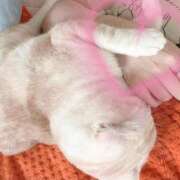 ヒメ日記 2026/04/03 18:49 投稿 凛々子【りりこ】 La Rouge(中津)