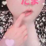 ヒメ日記 2026/06/22 19:16 投稿 たま 埼玉熊谷ちゃんこ