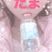 たま ♡Birthday Week♡ 埼玉熊谷ちゃんこ