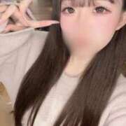 ヒメ日記 2026/02/19 15:14 投稿 ☆しゅり☆ ◆プラウディア◆AAA級素人娘在籍店