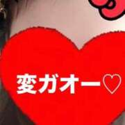 ヒメ日記 2026/02/24 22:05 投稿 蓮（新人♪） 宮崎SANSAIN