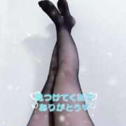 ヒメ日記 2026/02/28 08:01 投稿 まい 体感サロン マチルダとベロニカ