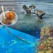 ヒメ日記 2026/03/05 17:30 投稿 ねる Selection(セレクション)(沖縄)