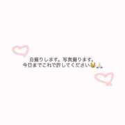 ヒメ日記 2026/09/21 02:34 投稿 ひめ ふわふわコレクション川越店