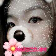 ヒメ日記 2026/02/25 08:21 投稿 やよい ぷるるん小町日本橋店