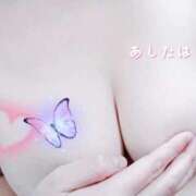 やよい 明日は ぷるるん小町日本橋店