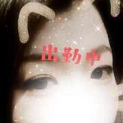 ヒメ日記 2026/03/11 08:36 投稿 やよい ぷるるん小町日本橋店