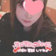 ヒメ日記 2026/02/19 07:59 投稿 キララ 川崎美女革命