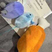 ヒメ日記 2026/02/20 13:56 投稿 モモ 川崎美女革命