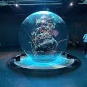 ヒメ日記 2026/02/23 01:38 投稿 ちふゆ 錦糸町人妻セレブリティ（ユメオト）