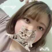 ヒメ日記 2026/02/23 00:19 投稿 ゆん 西船巨乳ぽっちゃり　乳神さま