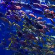 ヒメ日記 2026/03/07 07:59 投稿 ゆん 西船巨乳ぽっちゃり　乳神さま