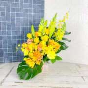 ヒメ日記 2026/02/26 11:52 投稿 まお 出会い系人妻ネットワーク さいたま～大宮編