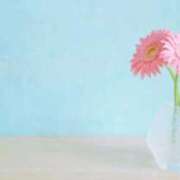 ヒメ日記 2026/03/09 19:02 投稿 まお 出会い系人妻ネットワーク さいたま～大宮編