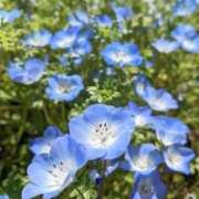 ヒメ日記 2026/04/02 17:12 投稿 まお 出会い系人妻ネットワーク さいたま～大宮編