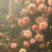 ヒメ日記 2026/04/08 08:22 投稿 まお 出会い系人妻ネットワーク さいたま～大宮編