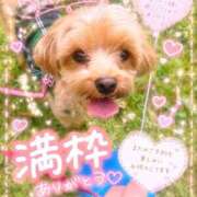 ひまり 完売御礼🈵💕 DIVAセカンドシーズン土浦店
