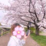 ヒメ日記 2026/04/08 09:37 投稿 ひまり DIVAセカンドシーズン