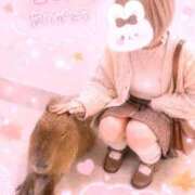 ヒメ日記 2026/06/08 19:27 投稿 ひまり DIVAセカンドシーズン