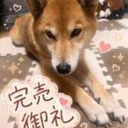 ヒメ日記 2026/08/29 18:37 投稿 ひまり DIVAセカンドシーズン
