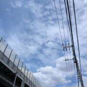 ヒメ日記 2026/06/18 08:54 投稿 柏木みき 五十路マダムエクスプレス横浜店（カサブランカグループ）