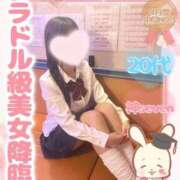 星宮ひめ 次回出勤🎀 エクレア