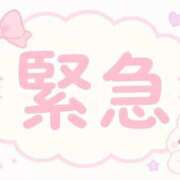 ヒメ日記 2026/05/12 16:01 投稿 星宮ひめ エクレア