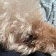 ヒメ日記 2026/03/22 22:40 投稿 瑠花(るか) 梅田泡洗体ハイブリッドエステ