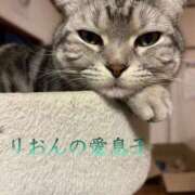 ヒメ日記 2026/03/17 16:44 投稿 りおん 奥さまさくら京橋店