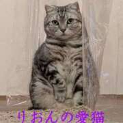 ヒメ日記 2026/04/05 14:14 投稿 りおん 奥さまさくら京橋店