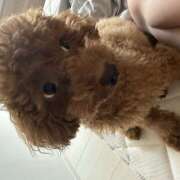 ヒメ日記 2026/03/31 15:58 投稿 かれん ファーストレディー