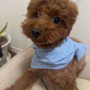 ヒメ日記 2026/04/04 18:19 投稿 かれん ファーストレディー