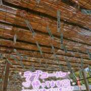 ヒメ日記 2026/08/01 15:10 投稿 りんね 千葉人妻花壇
