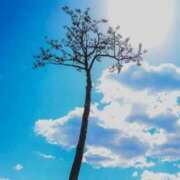 ヒメ日記 2026/03/11 07:45 投稿 えみ(Emi) 出張メンズエステ RELAX【DIVAグループ】