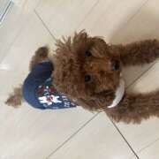 ヒメ日記 2026/03/01 12:13 投稿 花音(かのん) あなたの妻