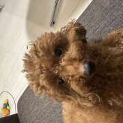 ヒメ日記 2026/03/14 14:12 投稿 花音(かのん) あなたの妻