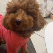 ヒメ日記 2026/03/15 13:01 投稿 花音(かのん) あなたの妻