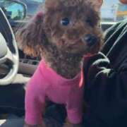 花音(かのん) 今日の出勤時間について あなたの妻