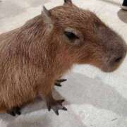 ヒメ日記 2026/03/03 09:53 投稿 黒木まさみ 熟女パラダイス岐阜羽島店（カサブランカグループ）