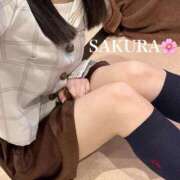 ヒメ日記 2026/03/23 16:41 投稿 サクラ ラブ&ピース 大宮店