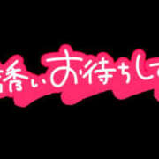 ヒメ日記 2026/02/25 14:01 投稿 岡本 Mrs治療院