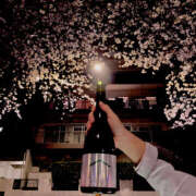 ヒメ日記 2026/04/20 23:50 投稿 ひなみ to tomorrow(トゥトゥモロウ)