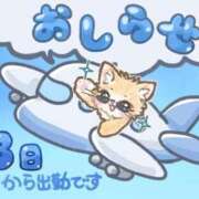 神崎 ジュリア 13日より復帰です！ プルプルハウス