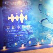 神崎 ジュリア 洗濯物のタイミングがむずかしい プルプルハウス