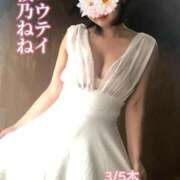 ヒメ日記 2026/02/26 18:05 投稿 桜乃ねね コウテイ