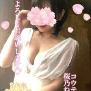 ヒメ日記 2026/02/26 19:15 投稿 桜乃ねね コウテイ