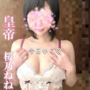 ヒメ日記 2026/03/10 12:43 投稿 桜乃ねね コウテイ