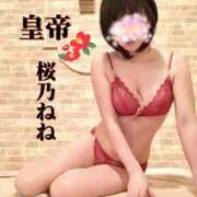 ヒメ日記 2026/03/11 15:47 投稿 桜乃ねね コウテイ