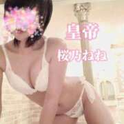 ヒメ日記 2026/03/14 18:06 投稿 桜乃ねね コウテイ