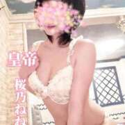 ヒメ日記 2026/03/25 15:35 投稿 桜乃ねね コウテイ